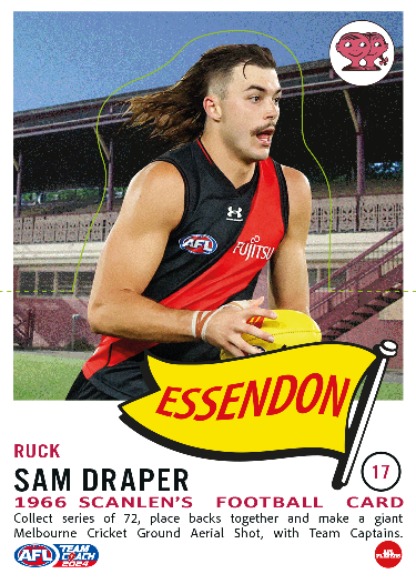 2024 Teamcoach AFL Scanlens Die-Cut - Card 17 - Sam Draper
