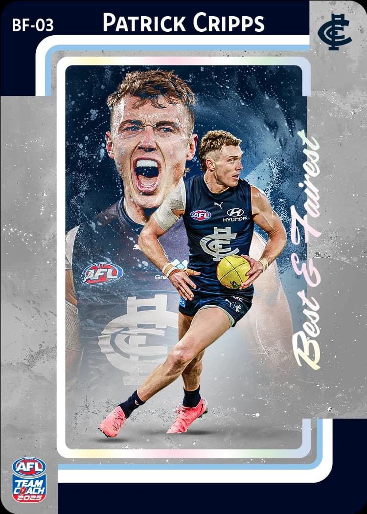 2025 AFL Team Coach Best & Fairest - Silver