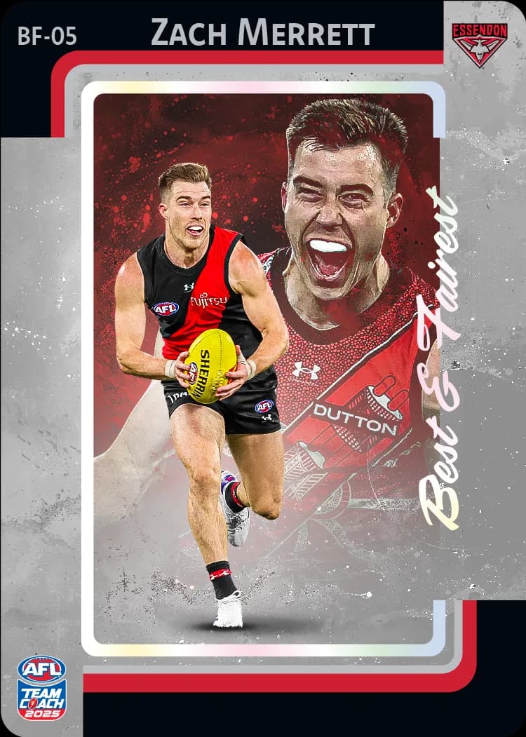 2025 AFL Team Coach Best & Fairest - Silver