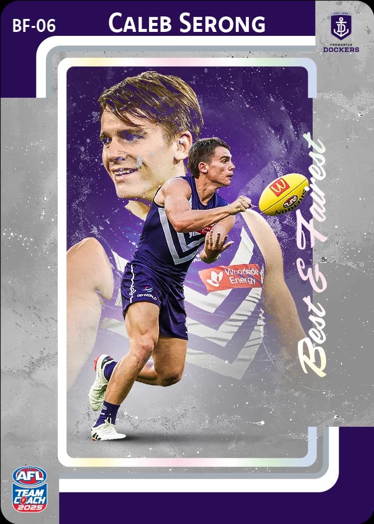2025 AFL Team Coach Best & Fairest - Silver