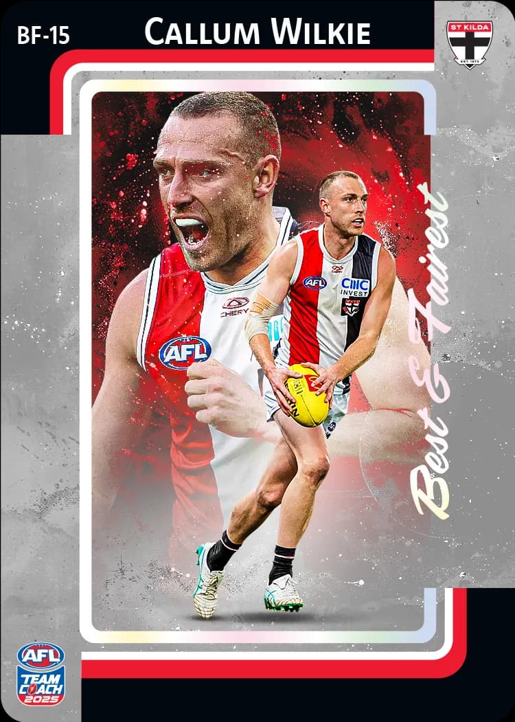 2025 AFL Team Coach Best & Fairest - Silver